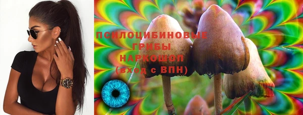 мескалин Нефтегорск