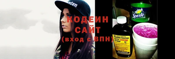 дмт Нея
