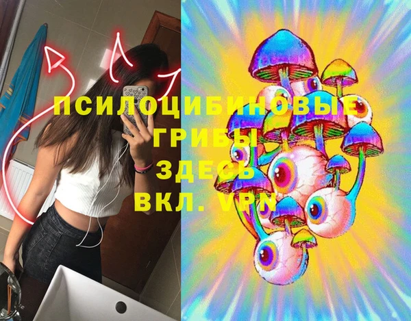 дмт Нея