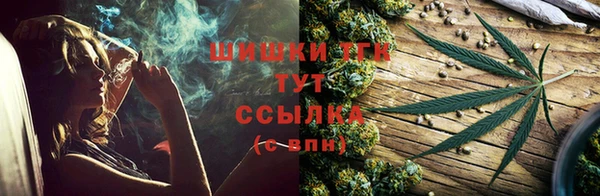 дмт Нея