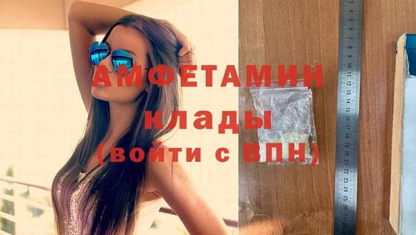 дмт Нея