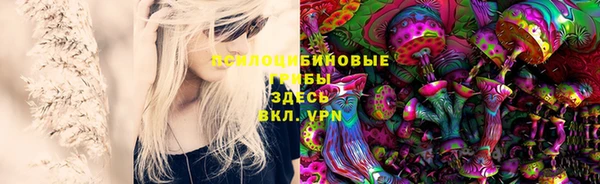 дмт Нея