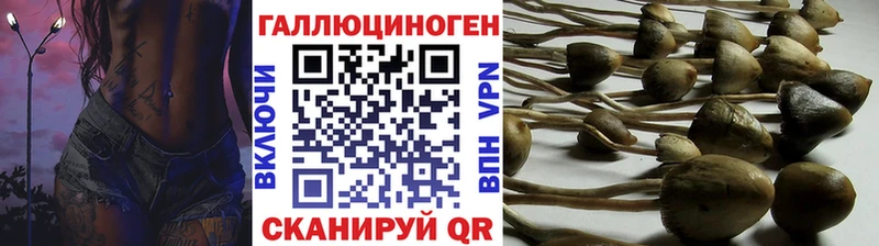 Купить закладки Камышлов Галлюциногенные грибы Psilocybine cubensis
